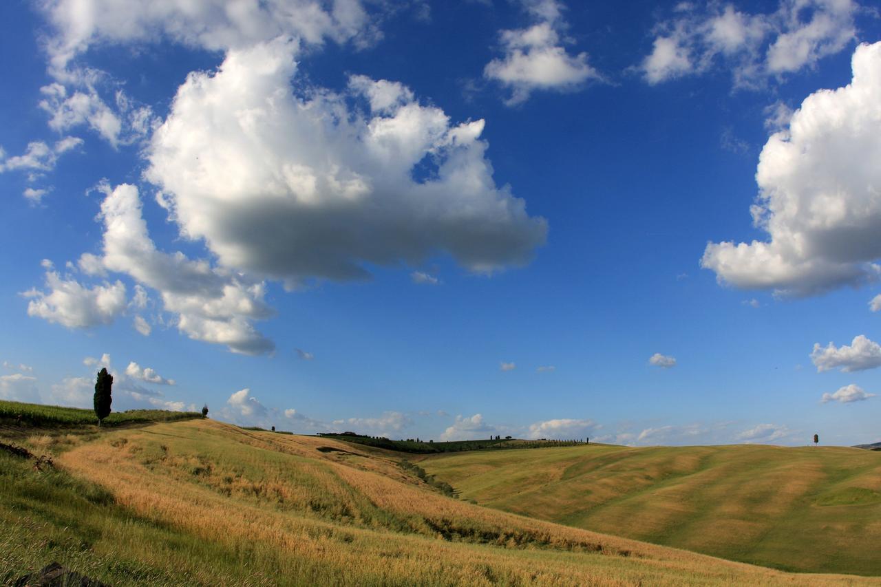 Cordella In Montalcino Wine Resort Luaran gambar